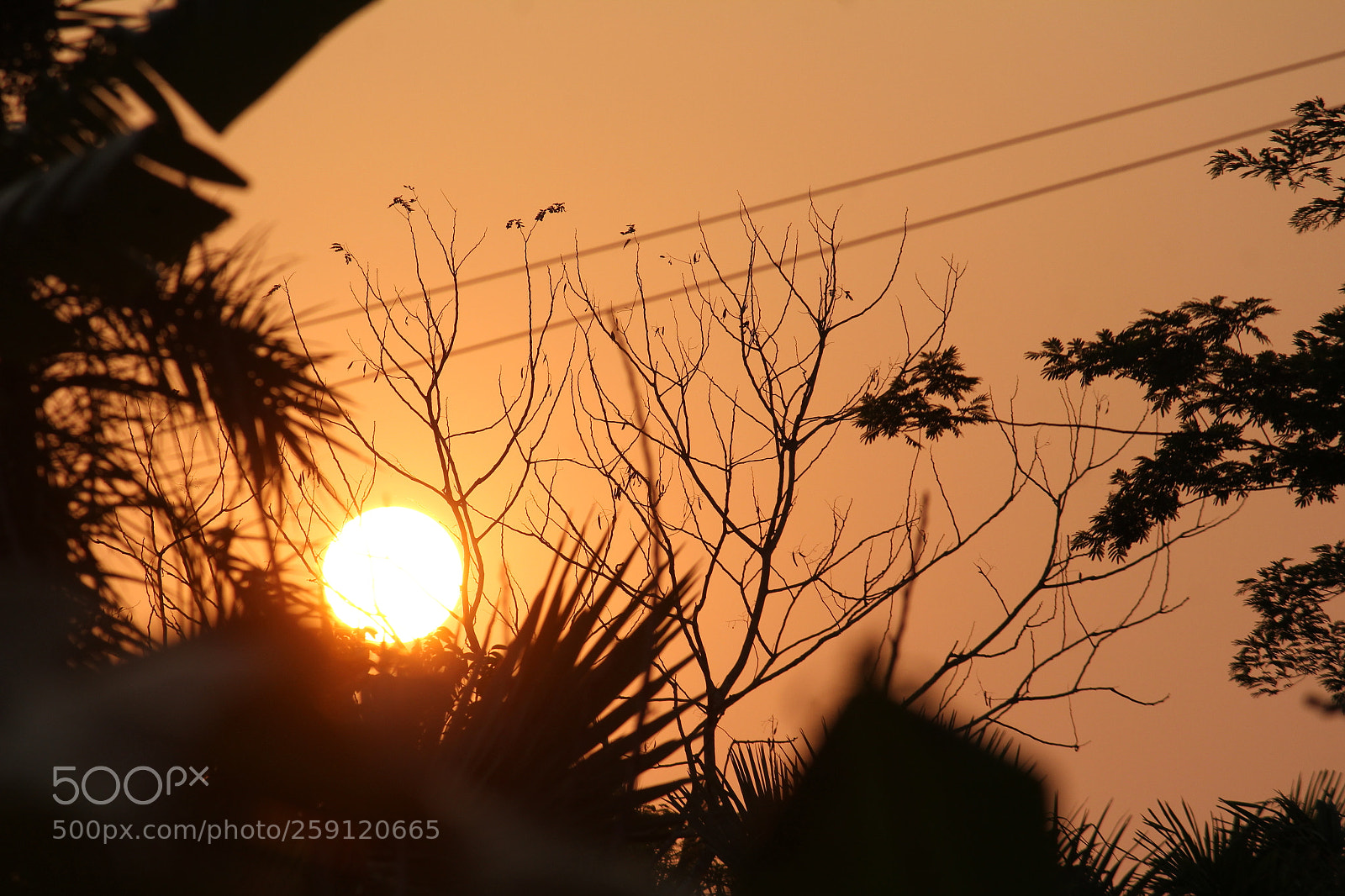 Canon EF-S 55-250mm F4-5.6 IS II sample photo. Untitled photography