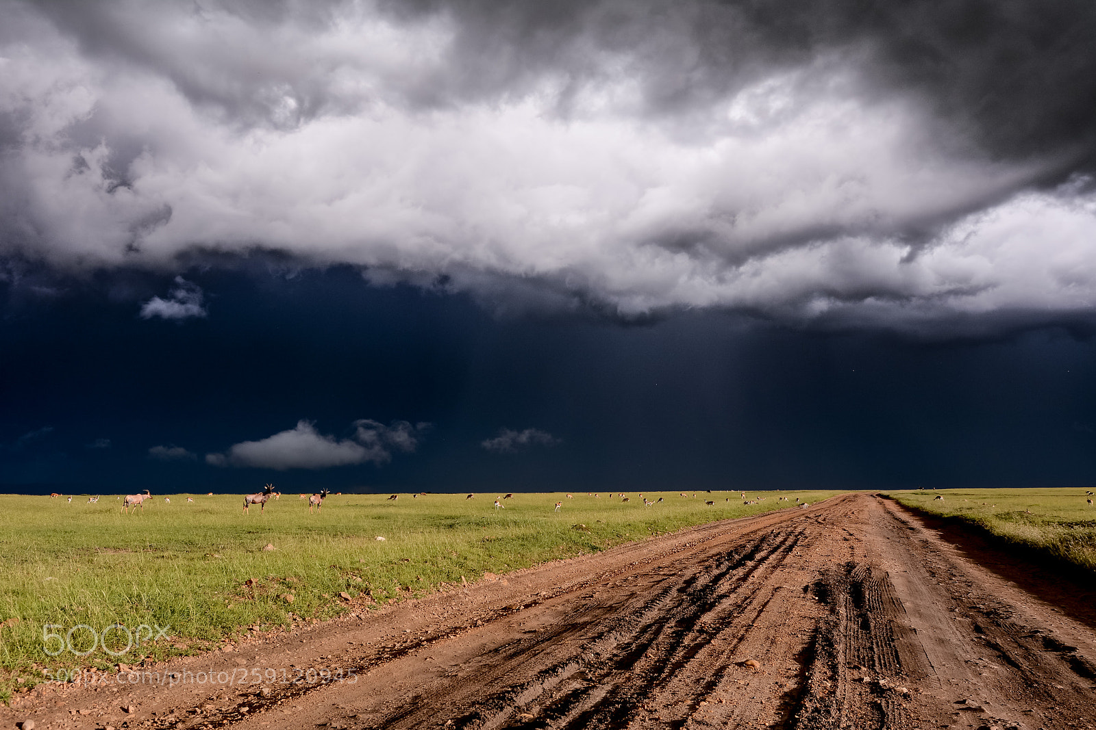 Nikon D7100 sample photo. Landscape with road in photography