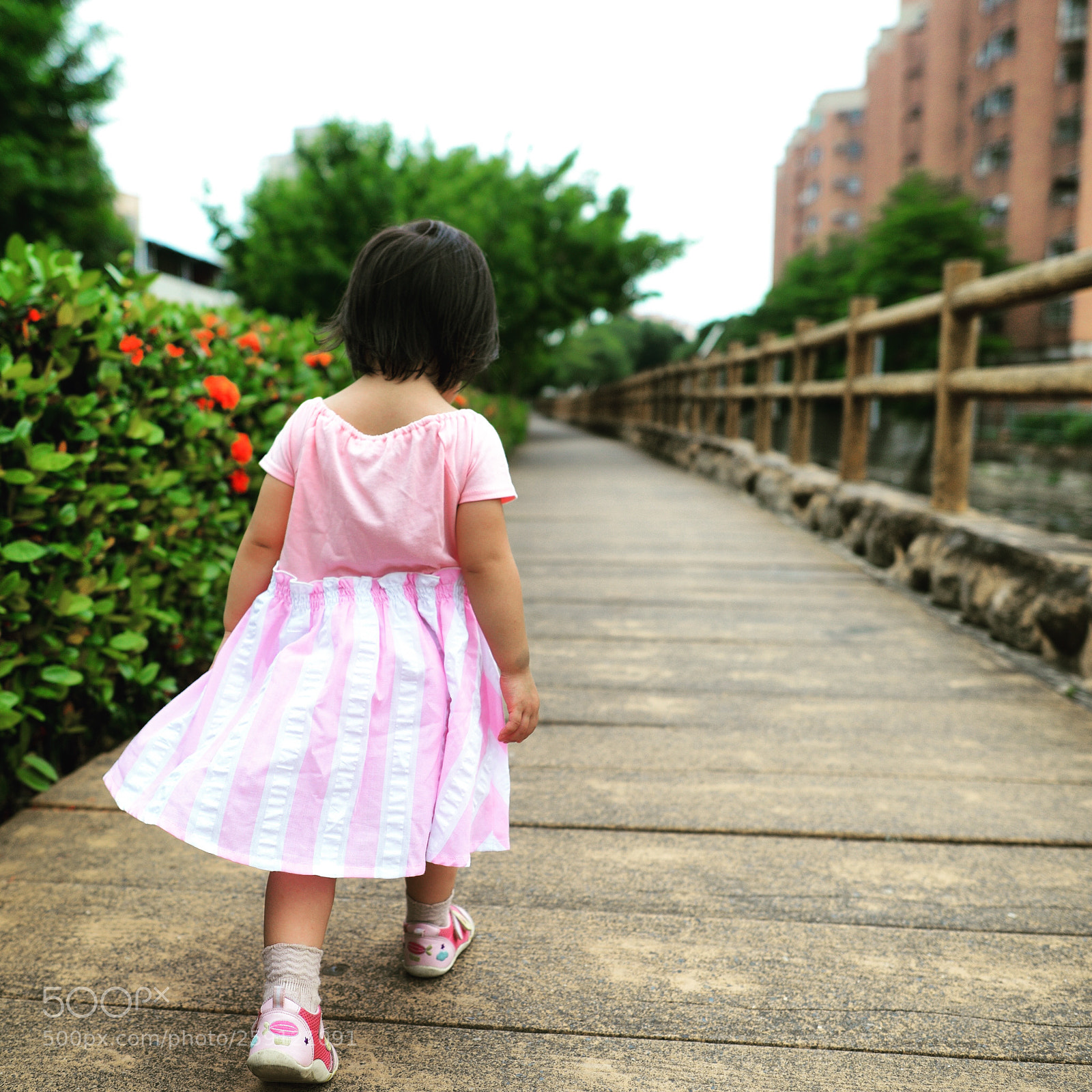 Nikon D800 sample photo. Untitled photography