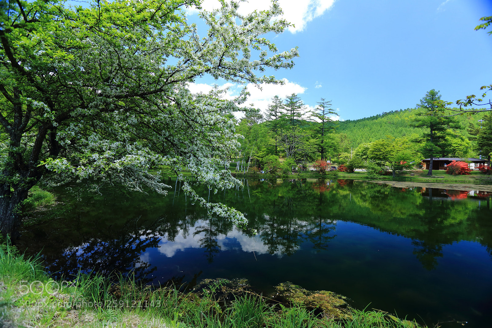 Canon EF 17-40mm F4L USM sample photo. Yachiho・nagano・japan photography