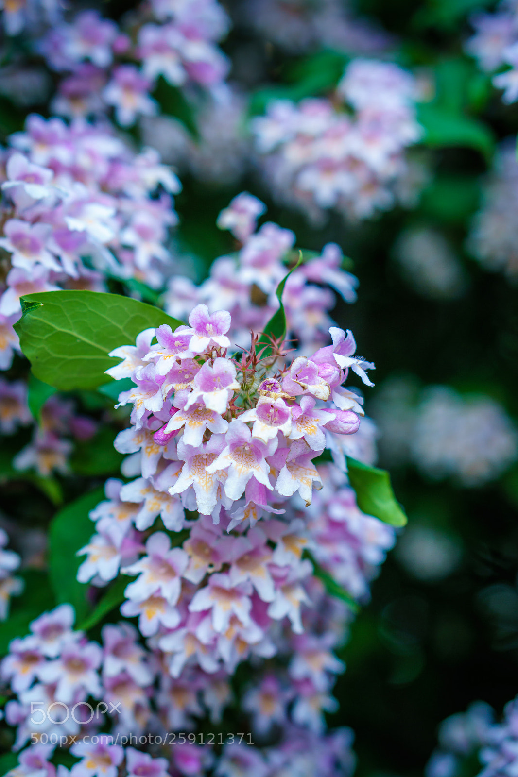 Sony a6000 sample photo. Untitled photography