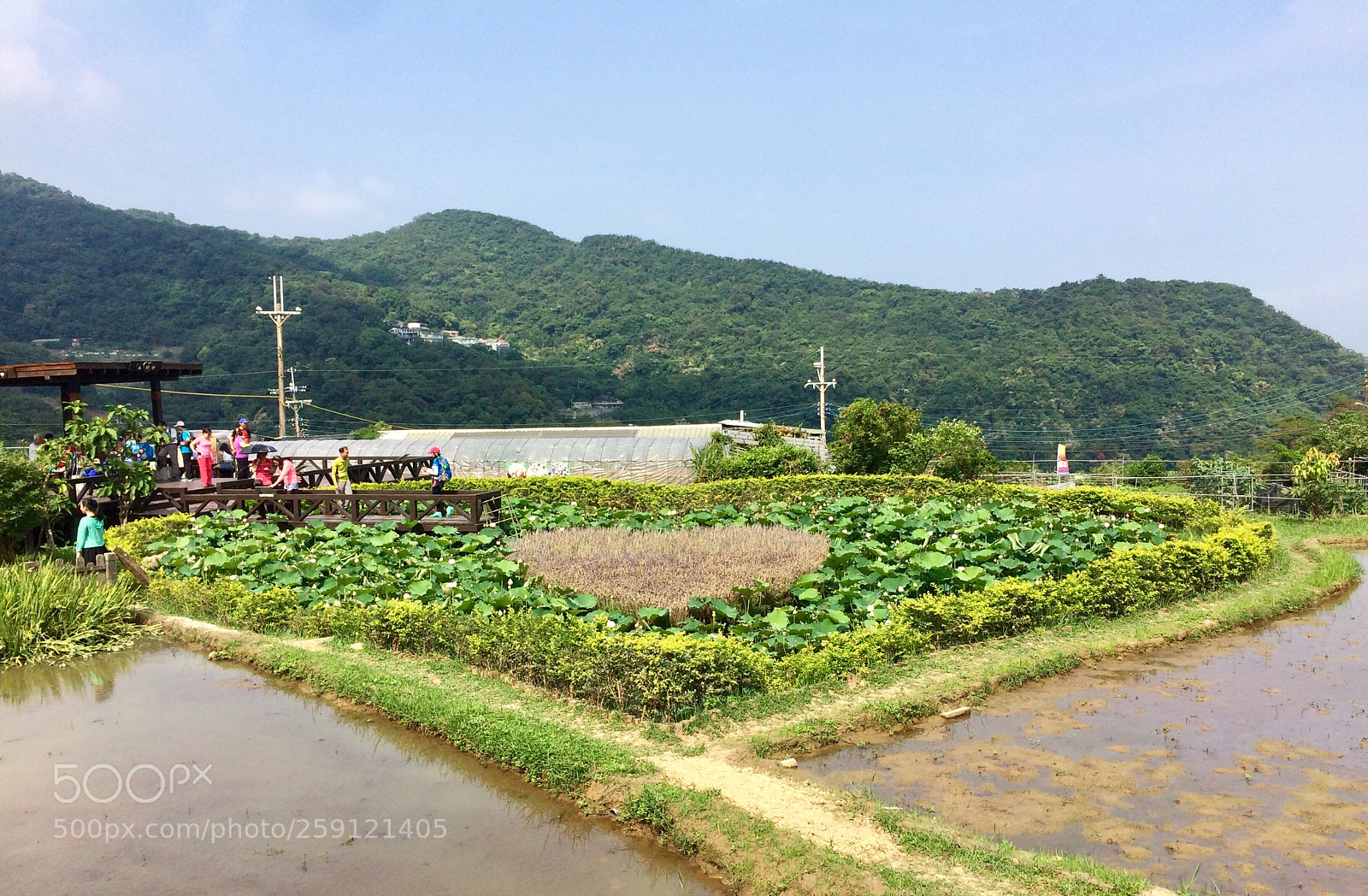 Apple iPhone 5s sample photo. ❤️in❤️ photography