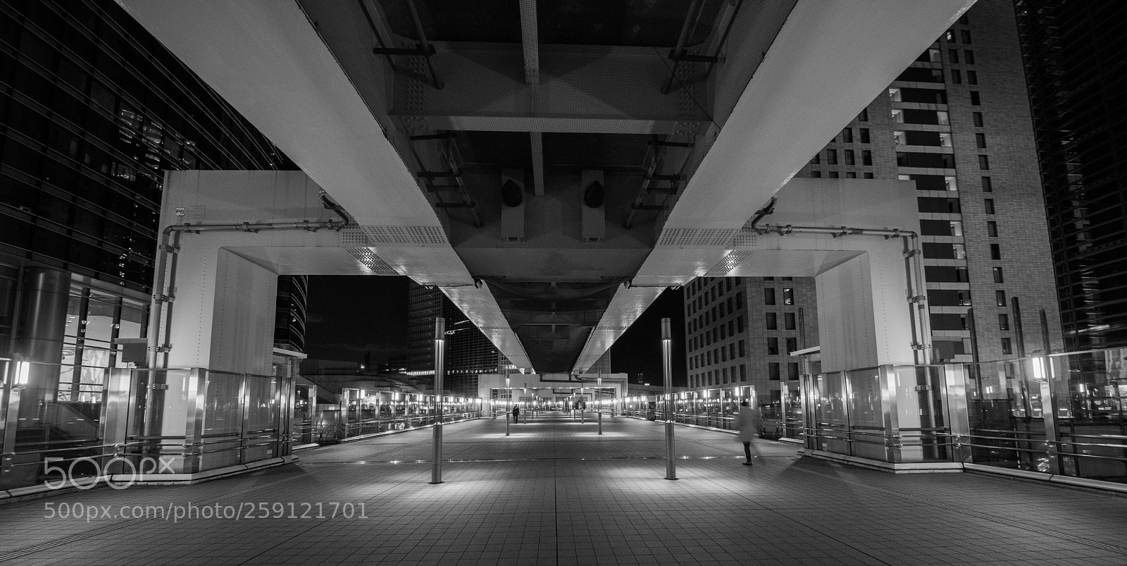 Pentax K-1 sample photo. Untitled photography