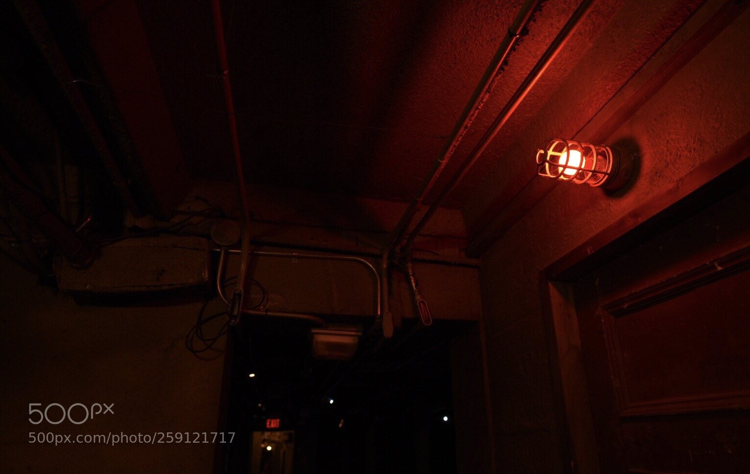 Nikon D750 sample photo. Untitled photography