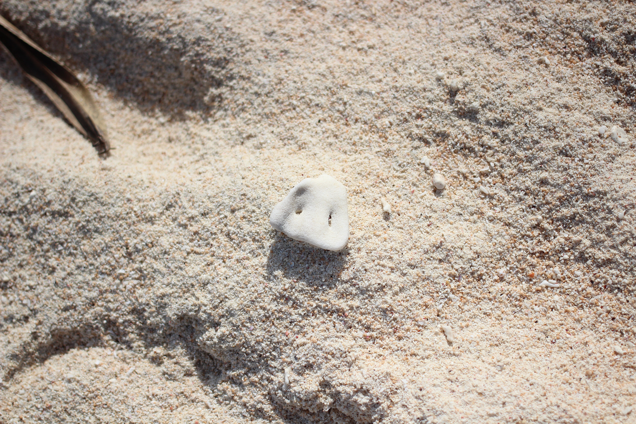 Canon EOS 600D (Rebel EOS T3i / EOS Kiss X5) sample photo. A stone like a pig's nose. 🐽 photography