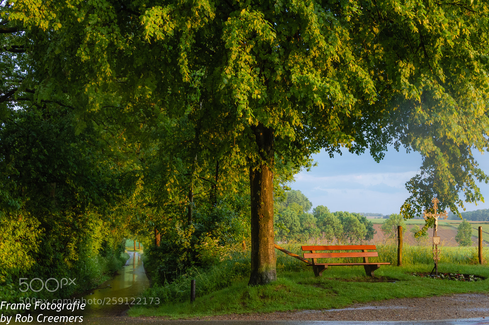 Nikon D7200 sample photo. Resting spot photography
