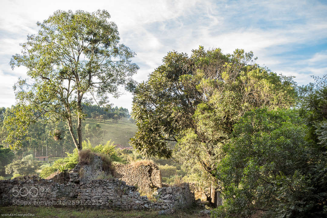 Canon EOS 700D (EOS Rebel T5i / EOS Kiss X7i) sample photo. Ruins photography