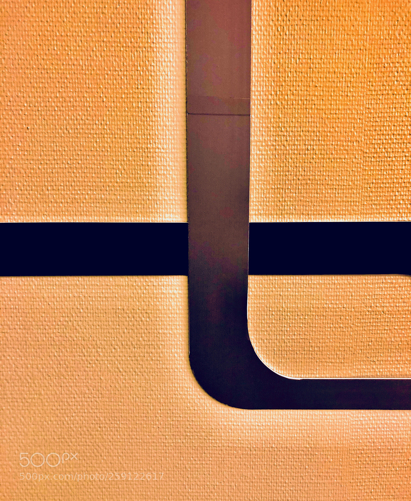 Apple iPhone 8 Plus sample photo. «t» photography