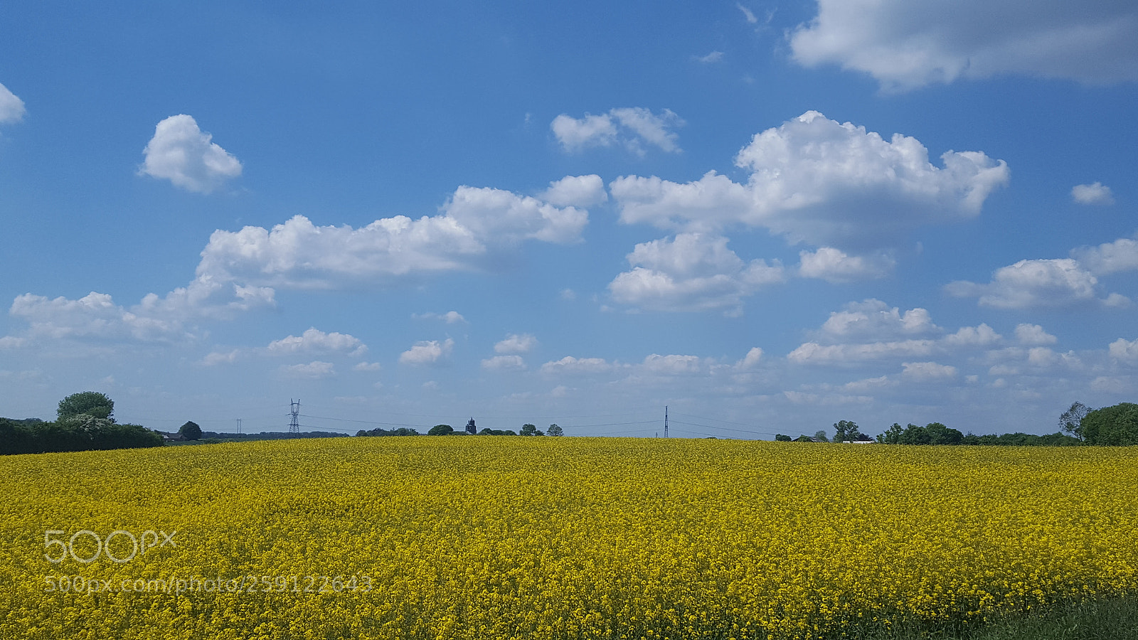 Samsung GALAXY S6 edge sample photo. A summer day in photography