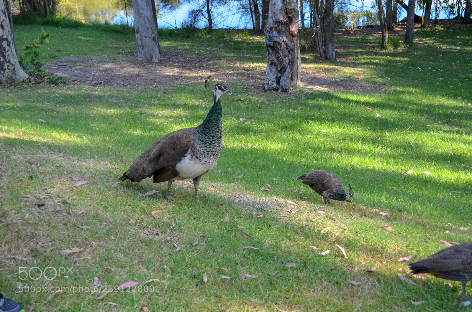 Nikon D5100 sample photo. 2 photography