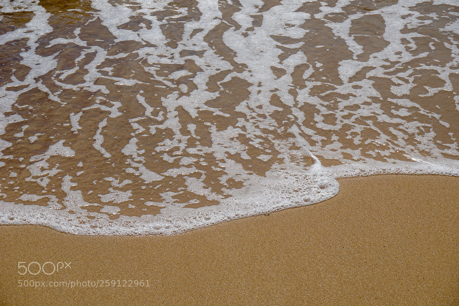 Sony a5100 sample photo. Dsc photography
