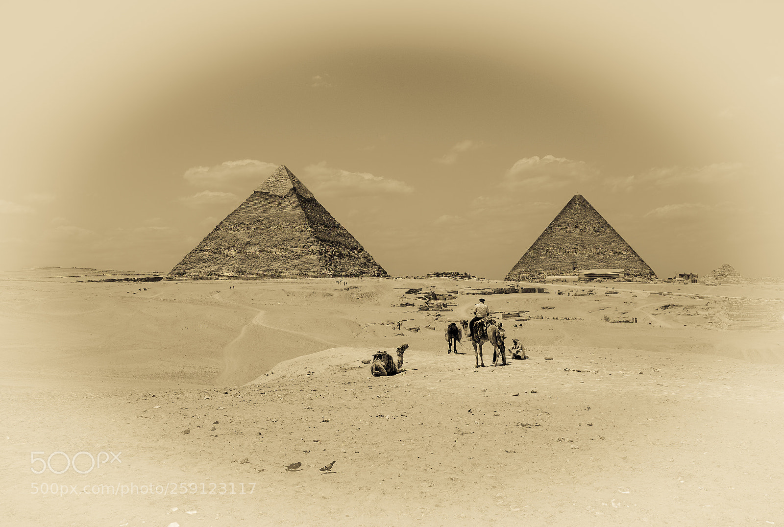Nikon D7100 sample photo. Sand mood photography