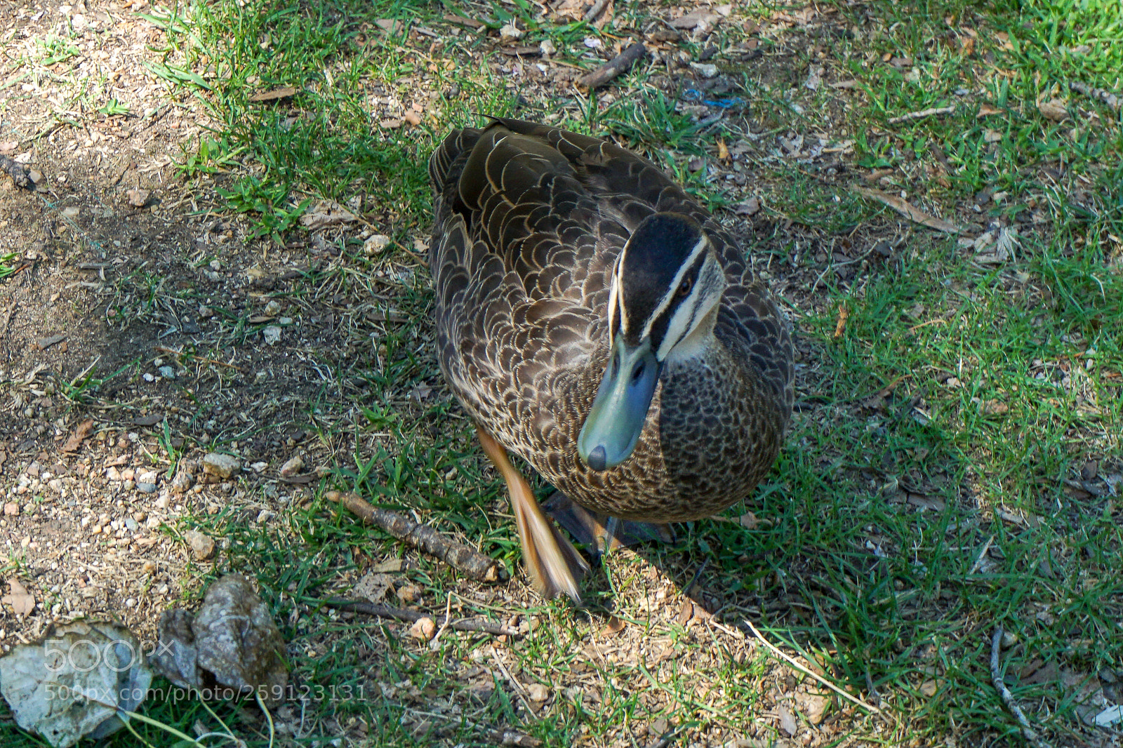Sony a5100 sample photo. Dsc photography