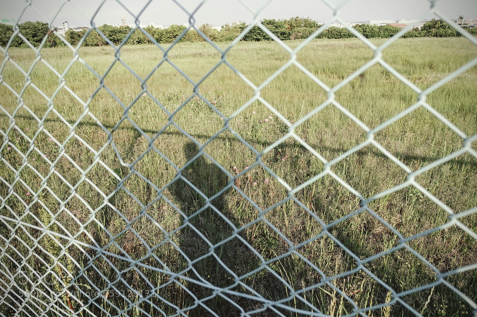 Sony Cyber-shot DSC-RX100 III sample photo. Outsider photography