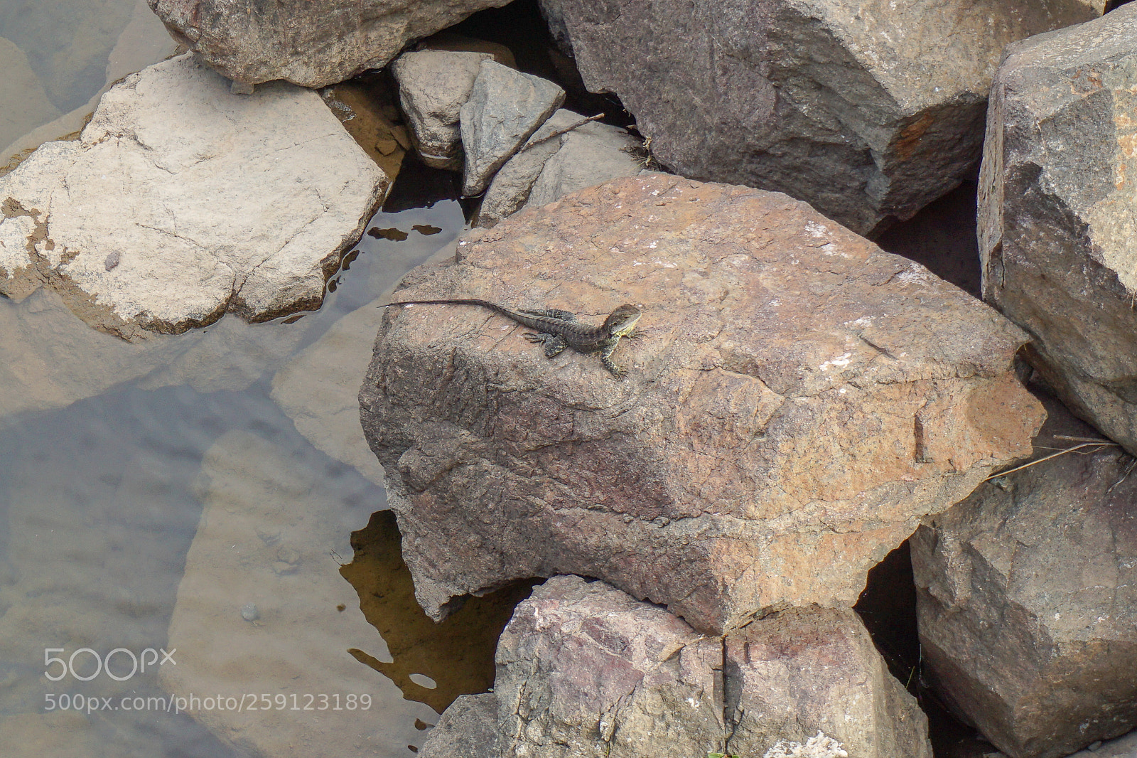 Sony a5100 sample photo. Dsc photography