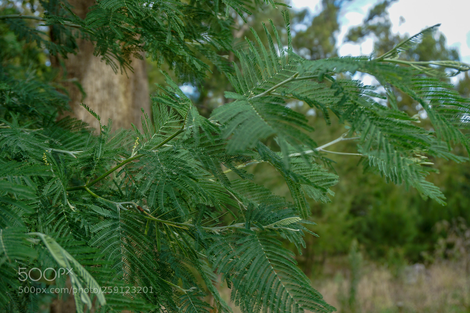 Sony a5100 sample photo. Dsc photography