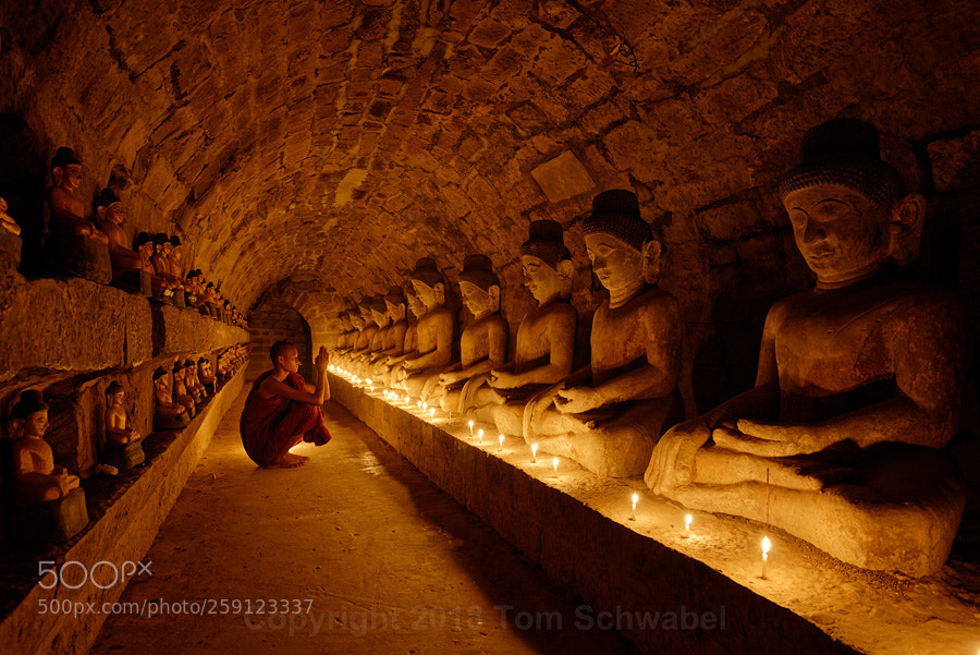 Nikon D800 sample photo. Passageway to enlightenment photography