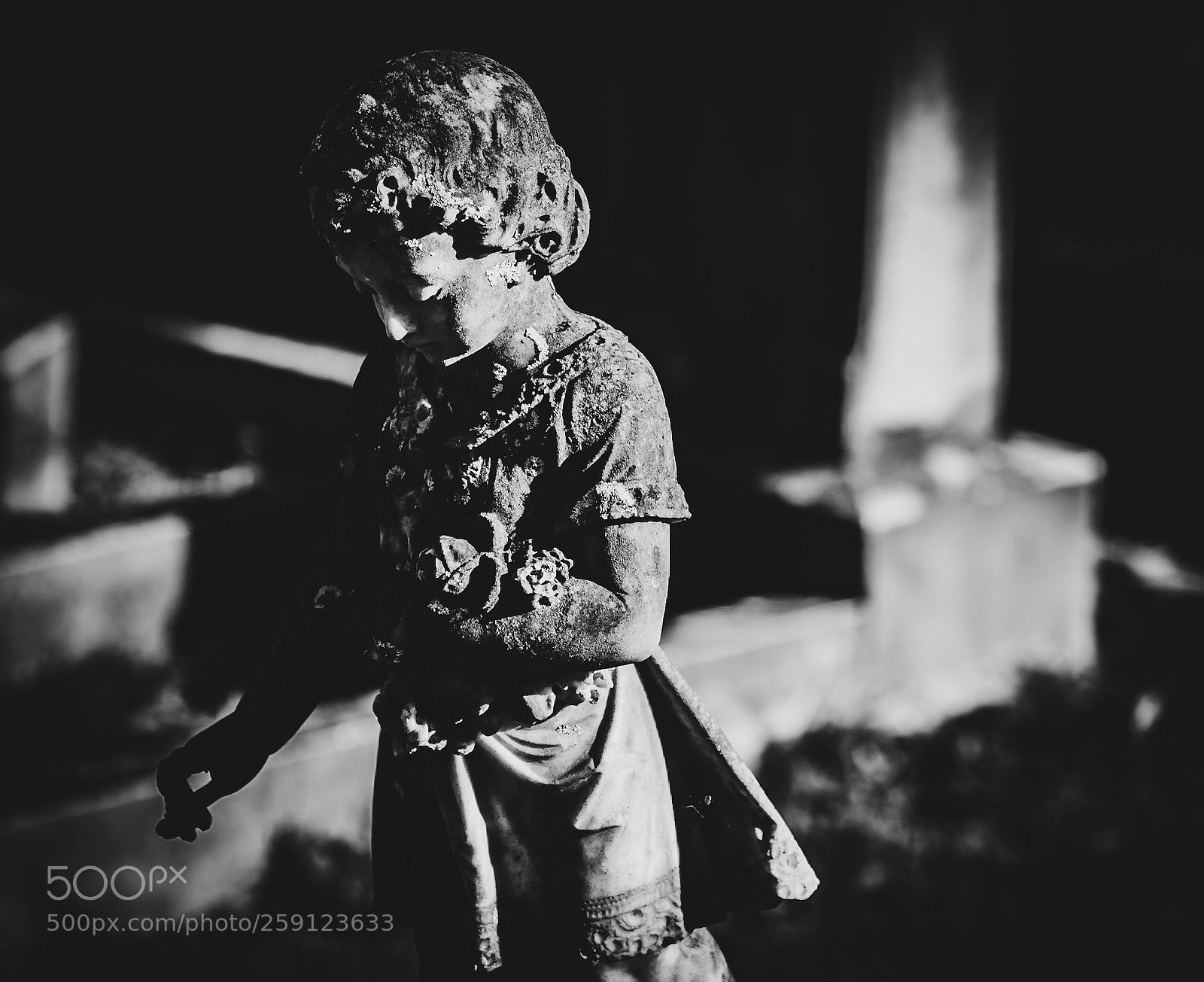 Nikon D5500 sample photo. St. bonaventure cemetery photography