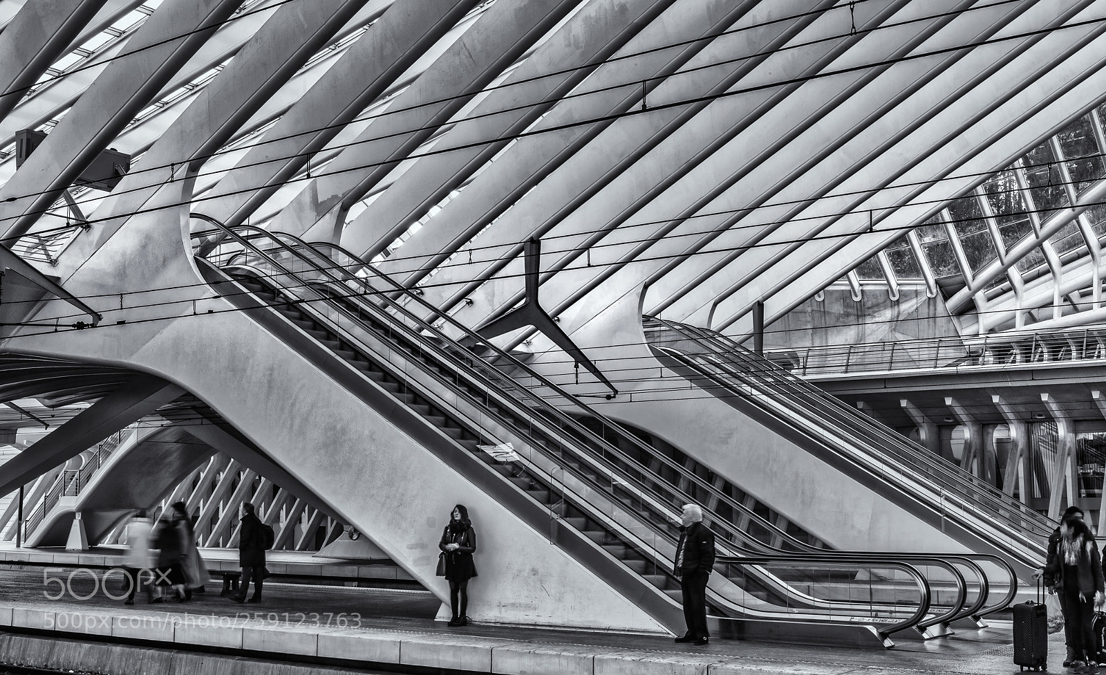 Nikon D4S sample photo. Never boring train station photography