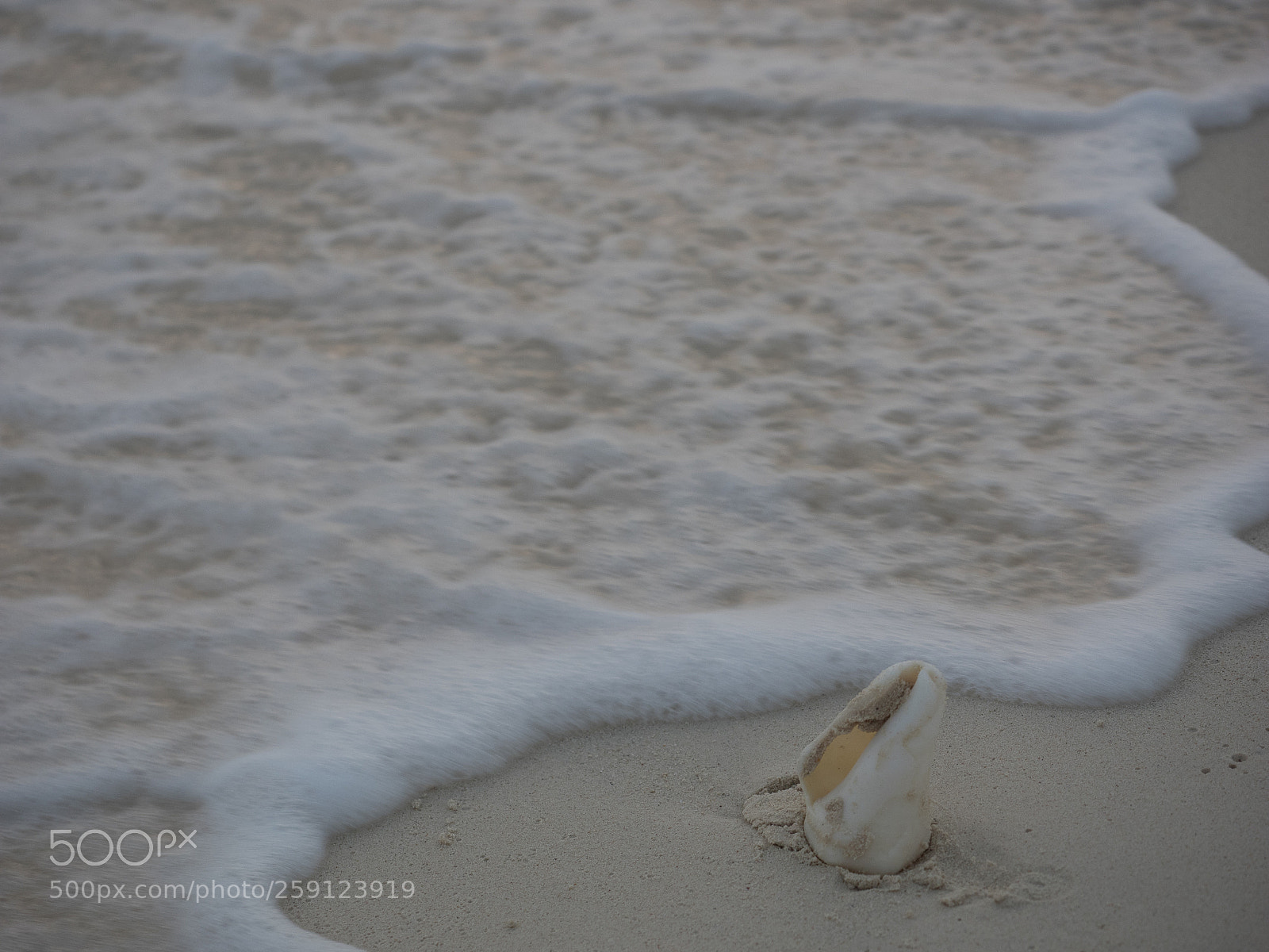 Olympus OM-D E-M1 sample photo. Bhp_scenic_aruba_20160305_3707.jpg photography
