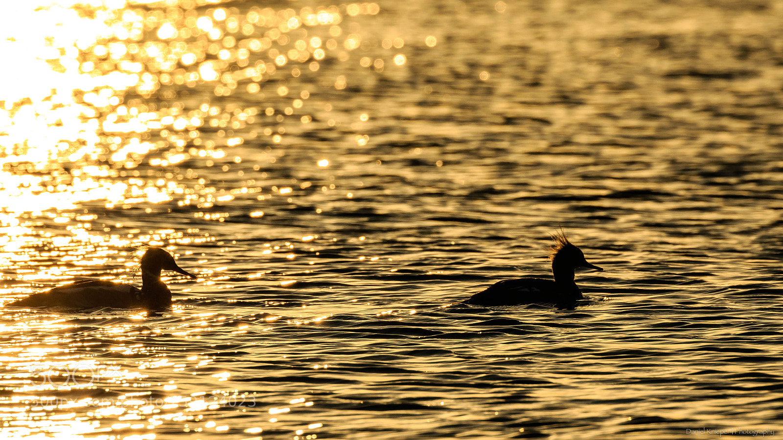 Canon EOS 7D Mark II sample photo. Ostsee photography