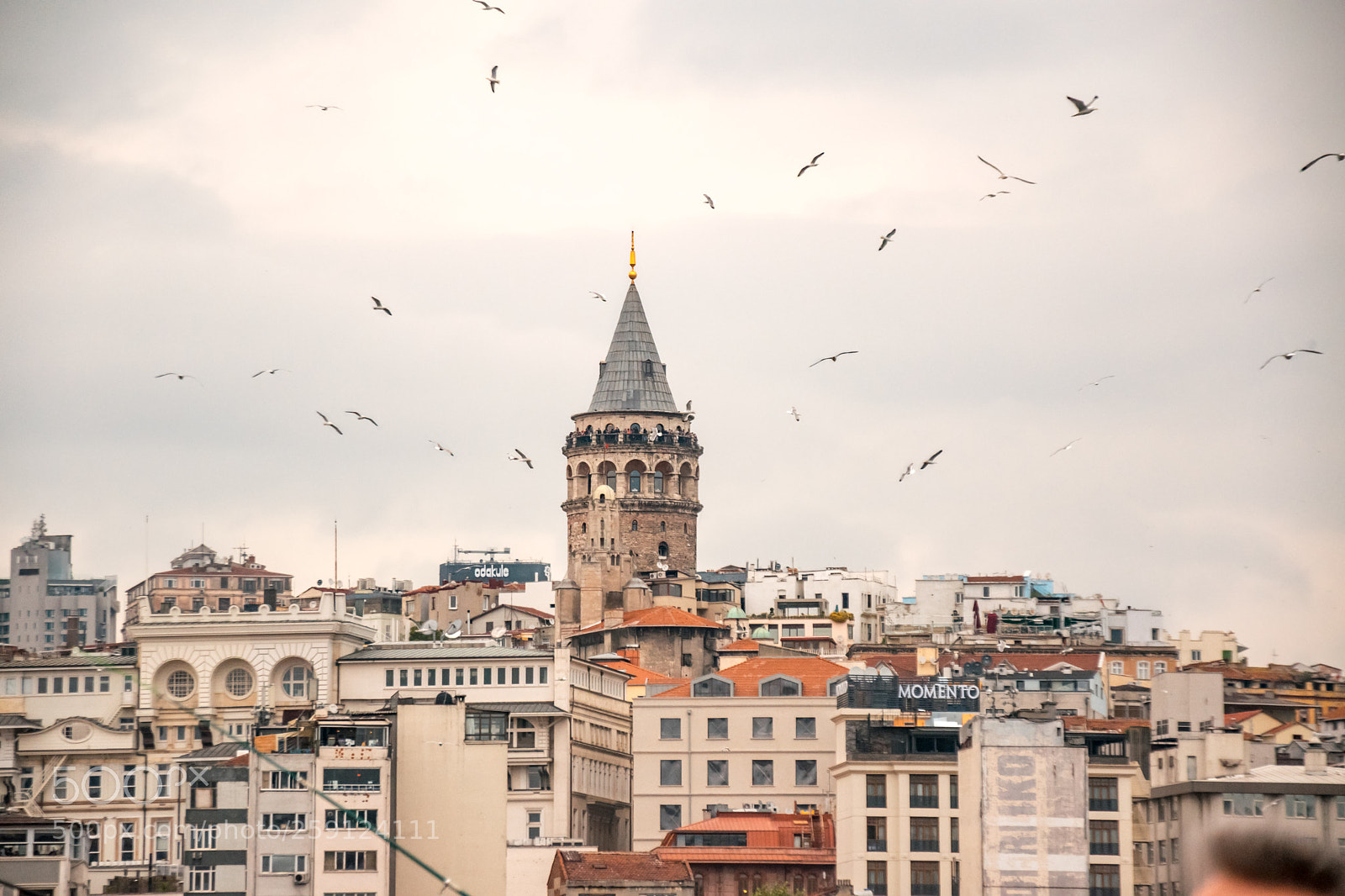 Nikon D5300 sample photo. Galata tower photography