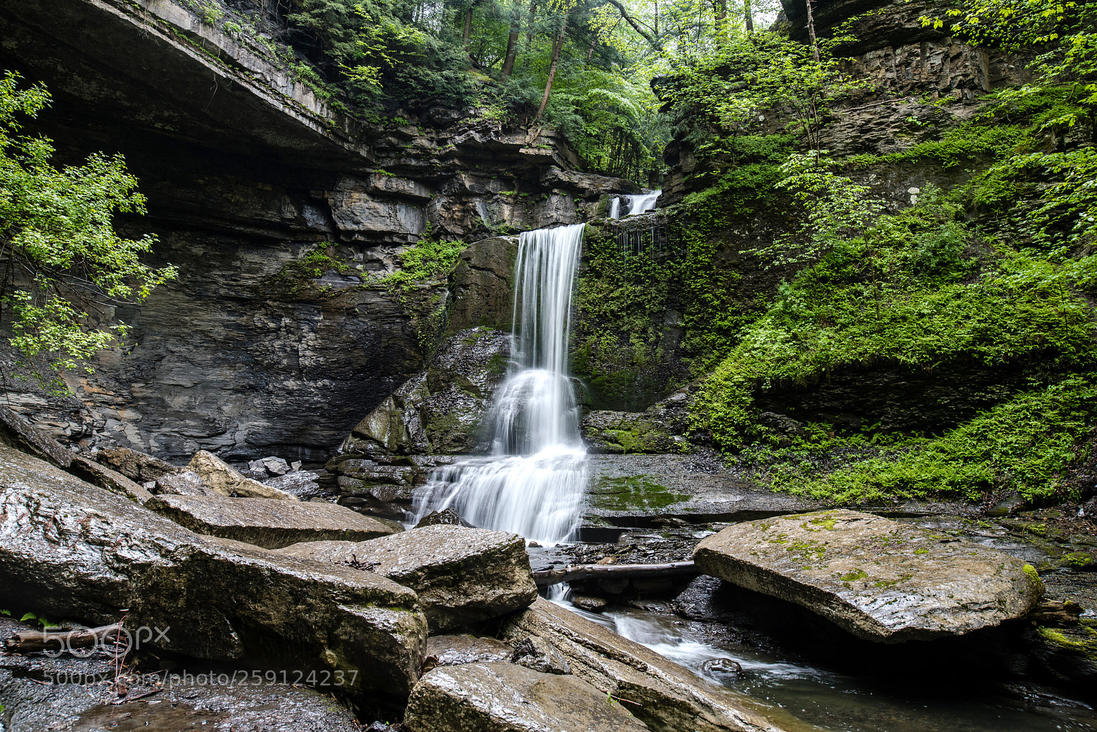 Nikon D750 sample photo. Cowsheds falls photography