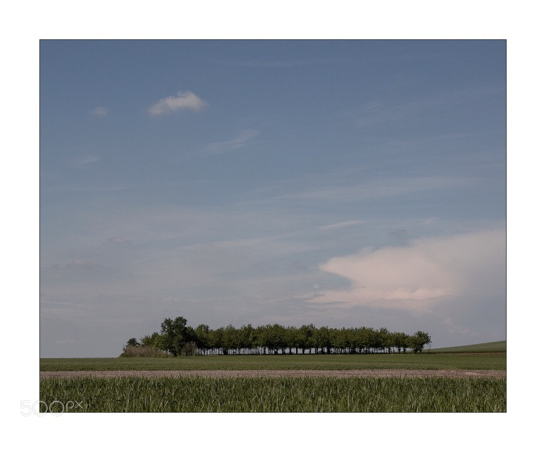 Pentax K-3 sample photo. Il bosco. monferrato  photography