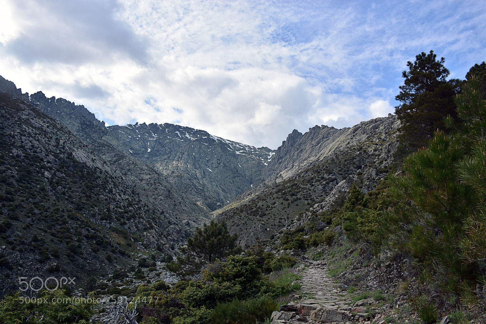 Nikon D7100 sample photo. Camino de gredos photography