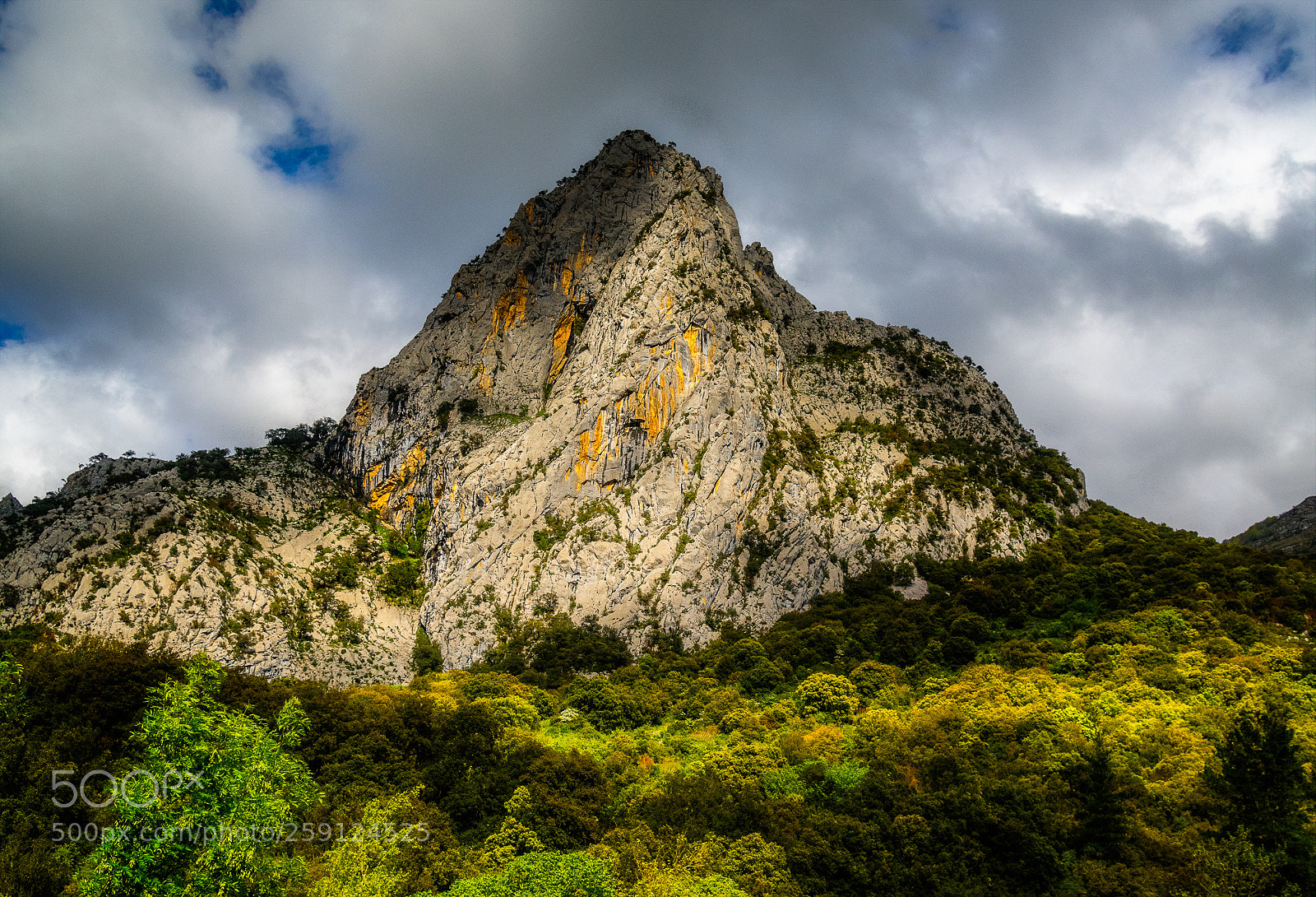 Nikon D850 sample photo. View from the road photography