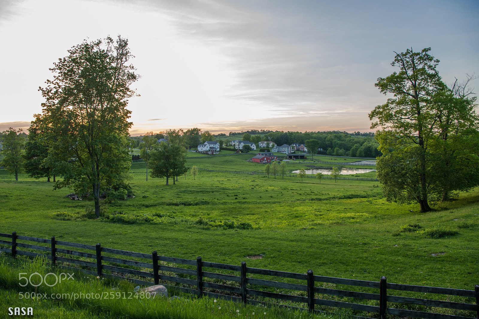 Nikon D850 sample photo. Green evening  photography