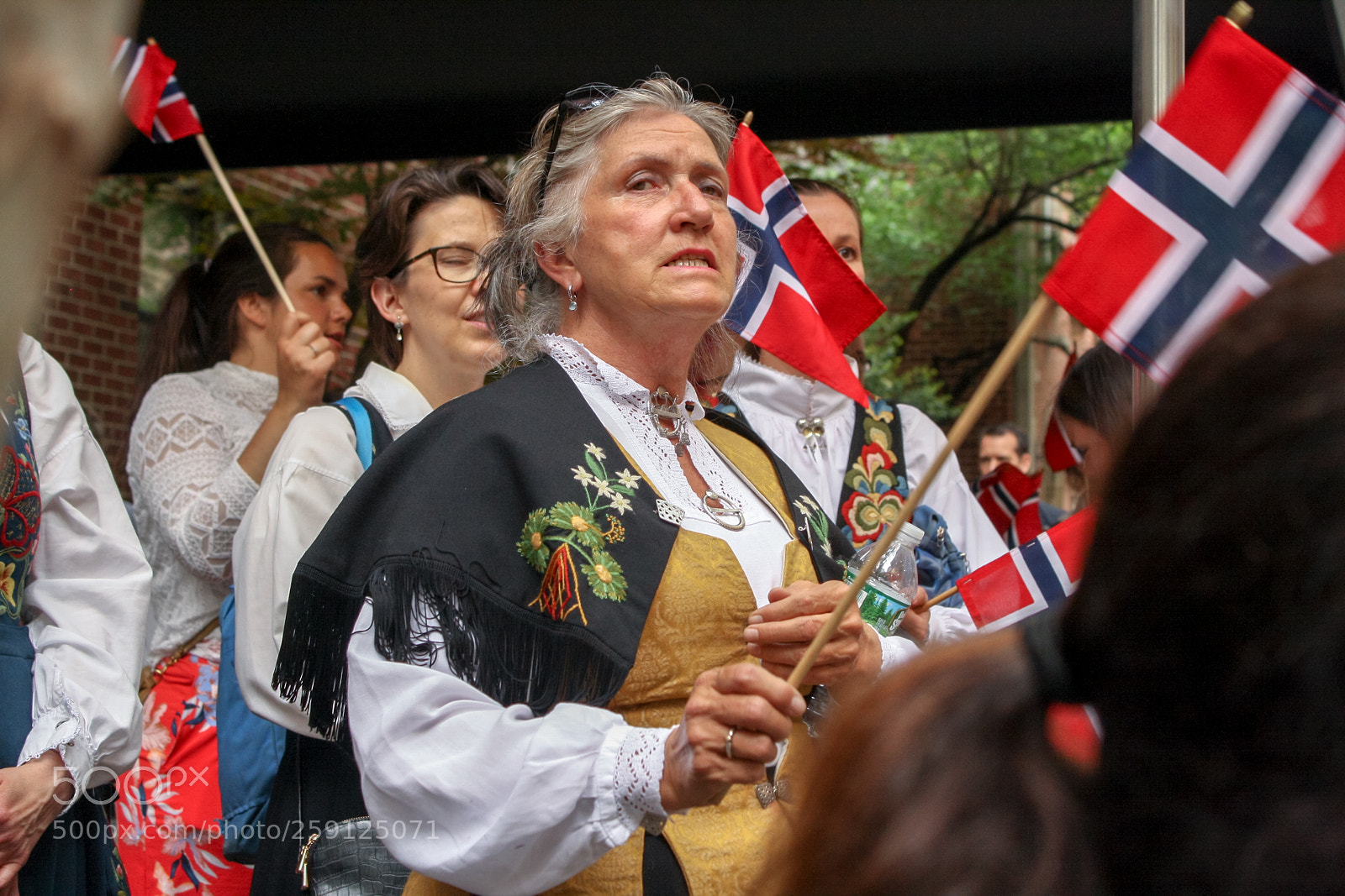 Canon EOS 1000D (EOS Digital Rebel XS / EOS Kiss F) sample photo. May 17 norwegian constitution day 2018 photography