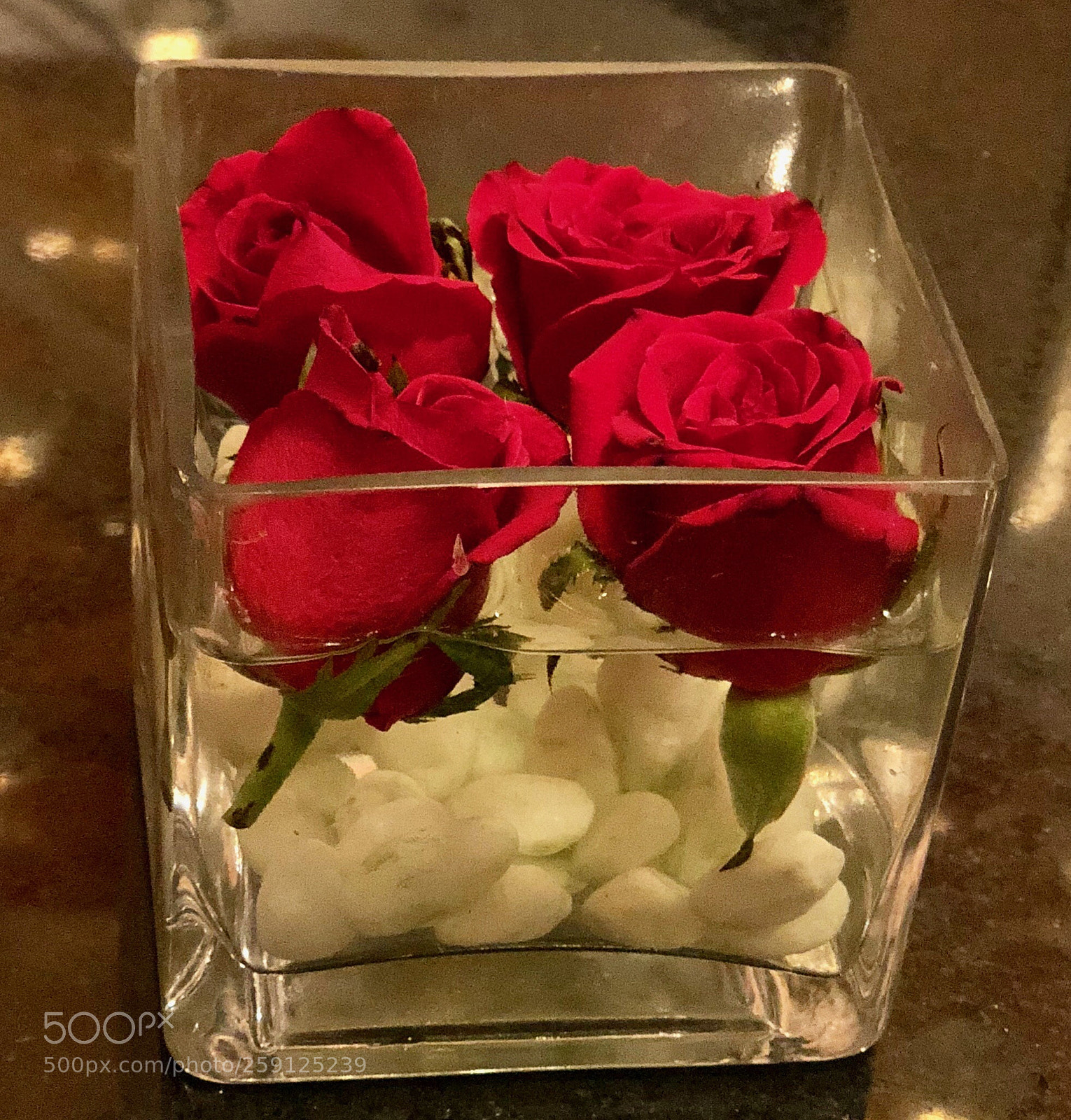 Apple iPhone X sample photo. Who doesn t loves photography