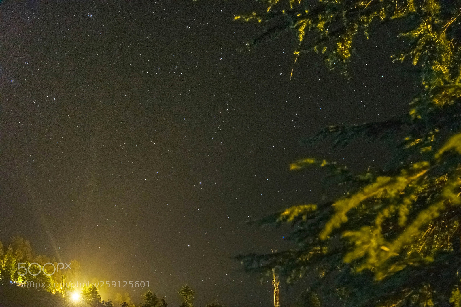 Nikon D5300 sample photo. Different view photography