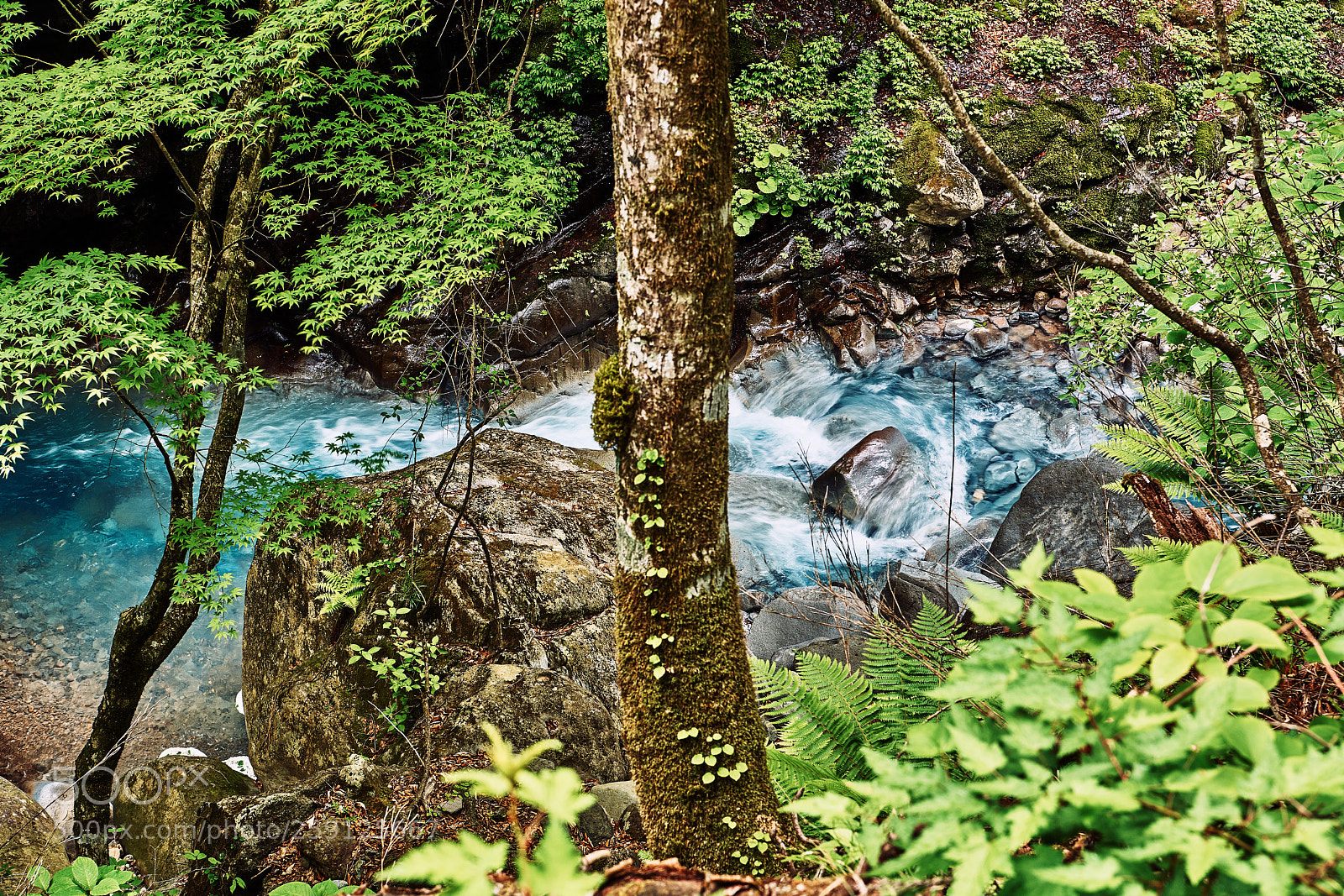 Nikon D850 sample photo. Spring upstream photography