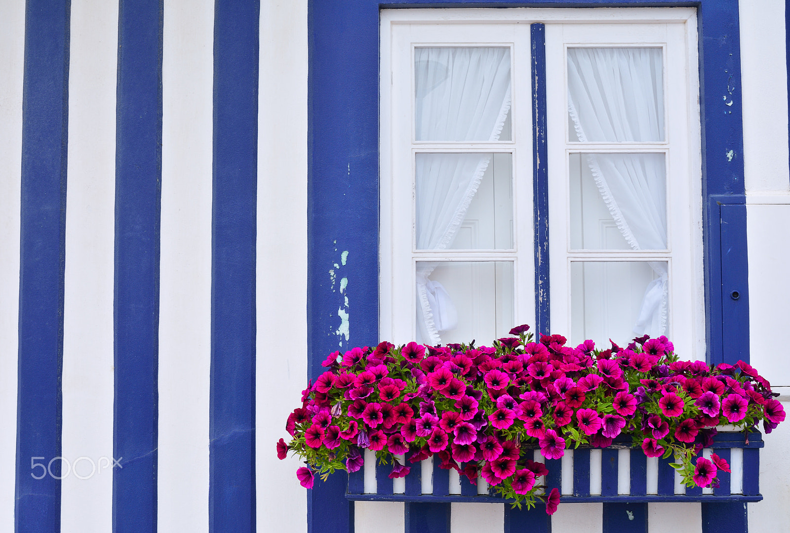 Nikon D7100 sample photo. Window in an old house decorated with flower. photography