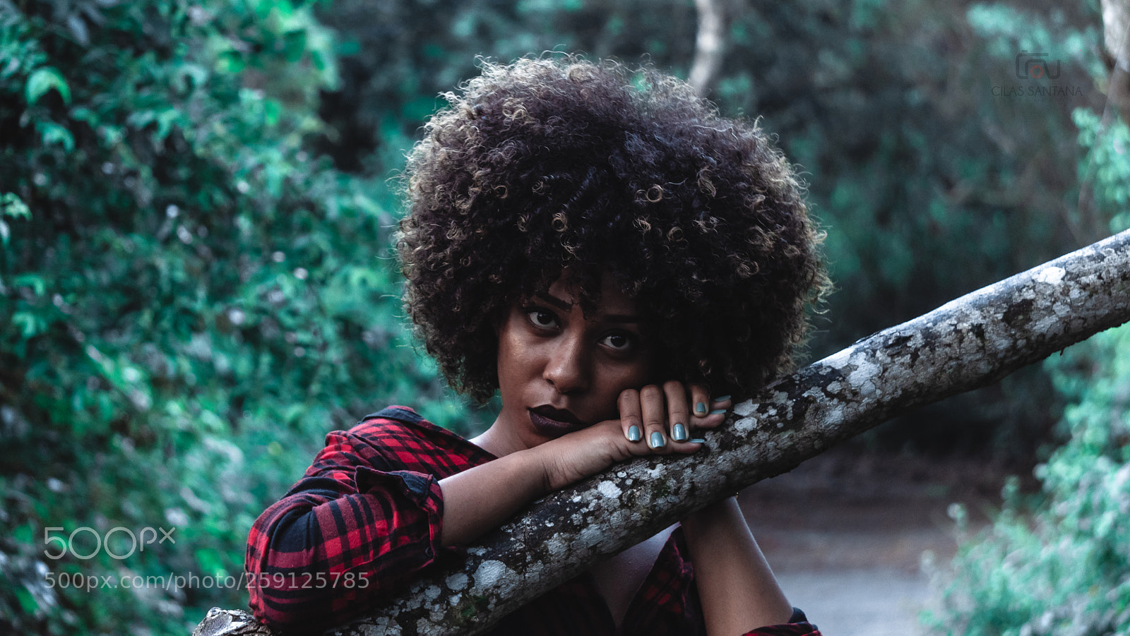 Sony a6300 sample photo. Cfs photography