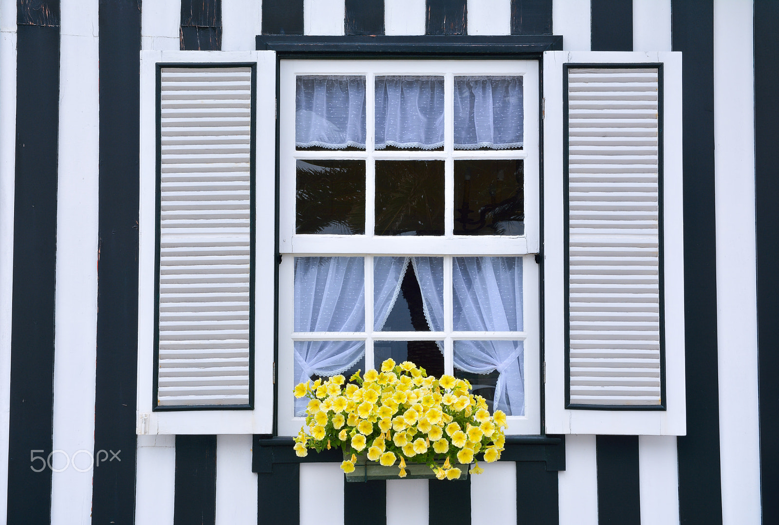 Nikon D7100 sample photo. Window in an old house decorated with flower. photography