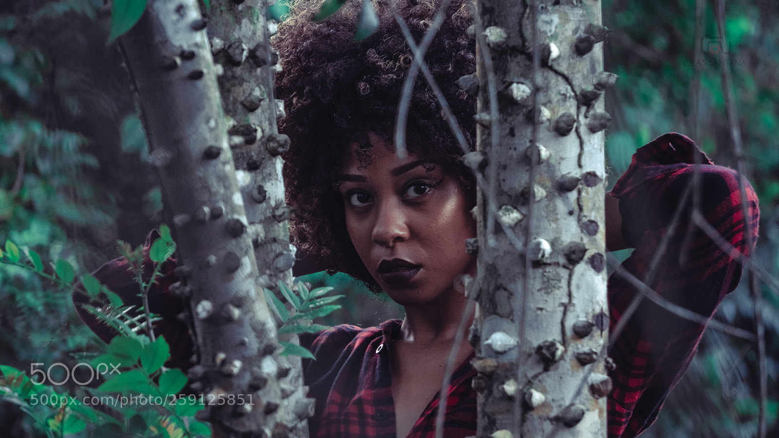 Sony a6300 sample photo. Cfs photography
