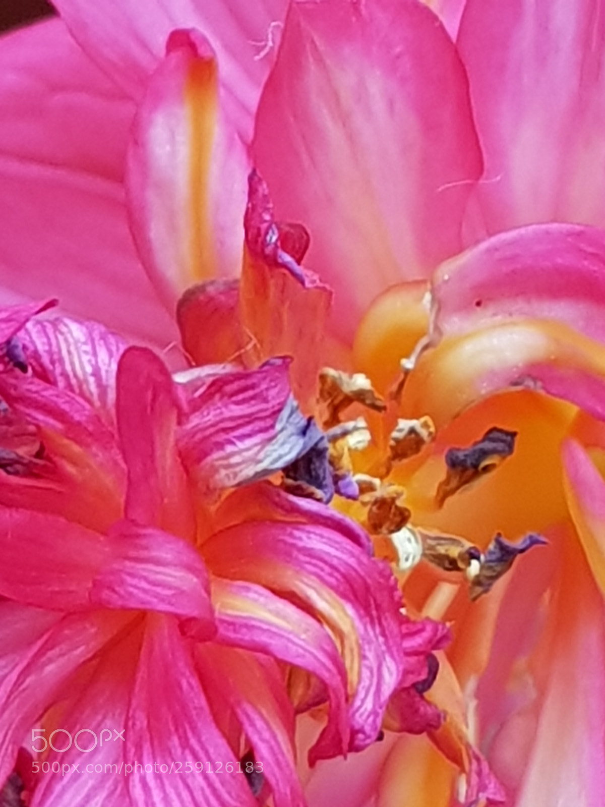 Samsung Galaxy S8 sample photo. Untitled photography