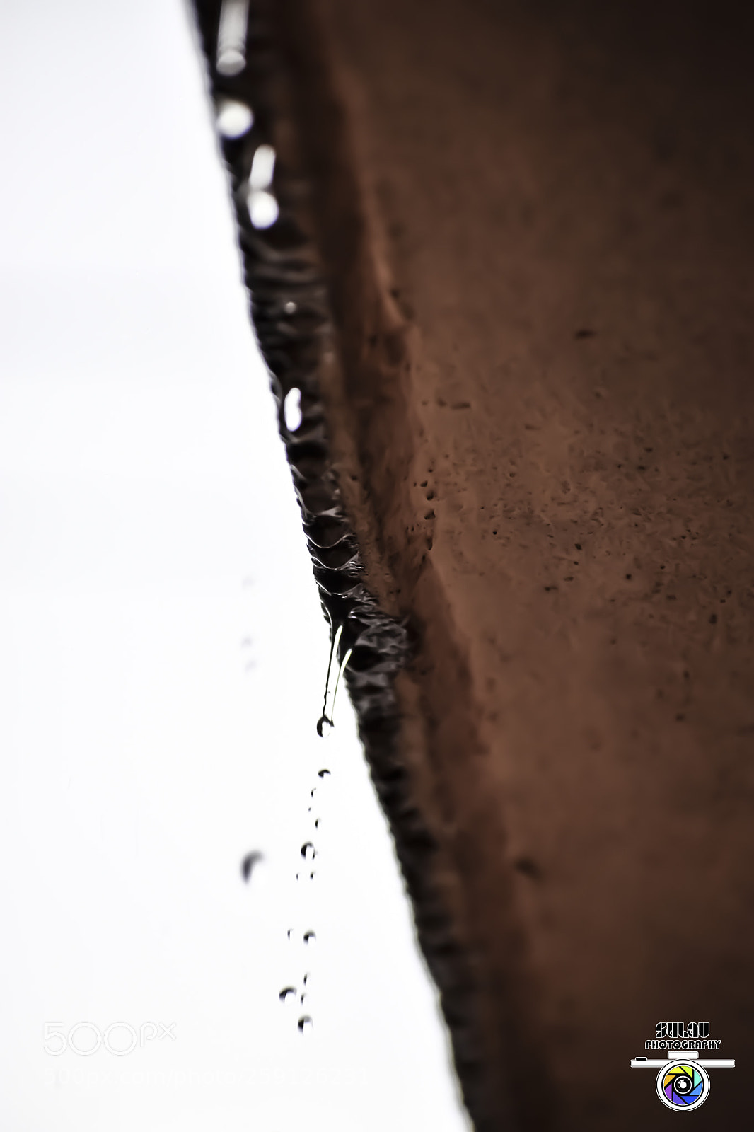Nikon D3400 sample photo. Rain drops photography