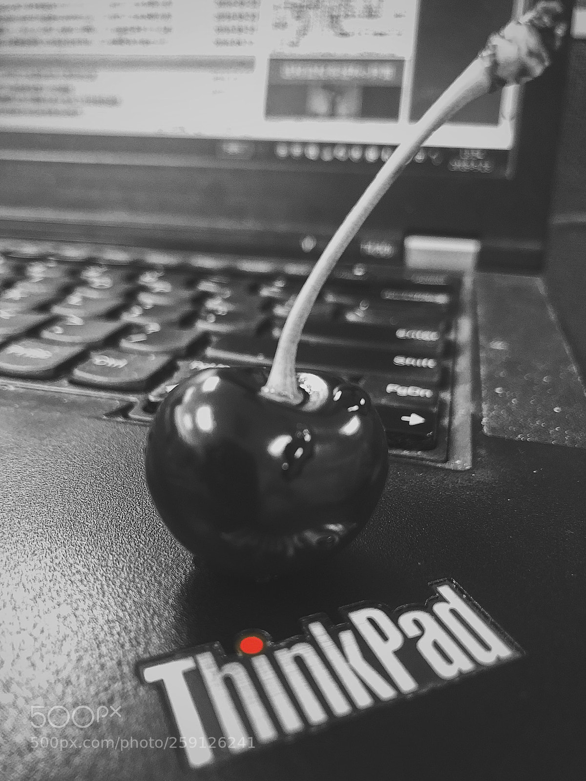Apple iPhone 8 Plus sample photo. Untitled photography