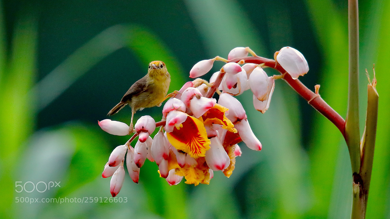 Canon EOS 5DS sample photo. Untitled photography