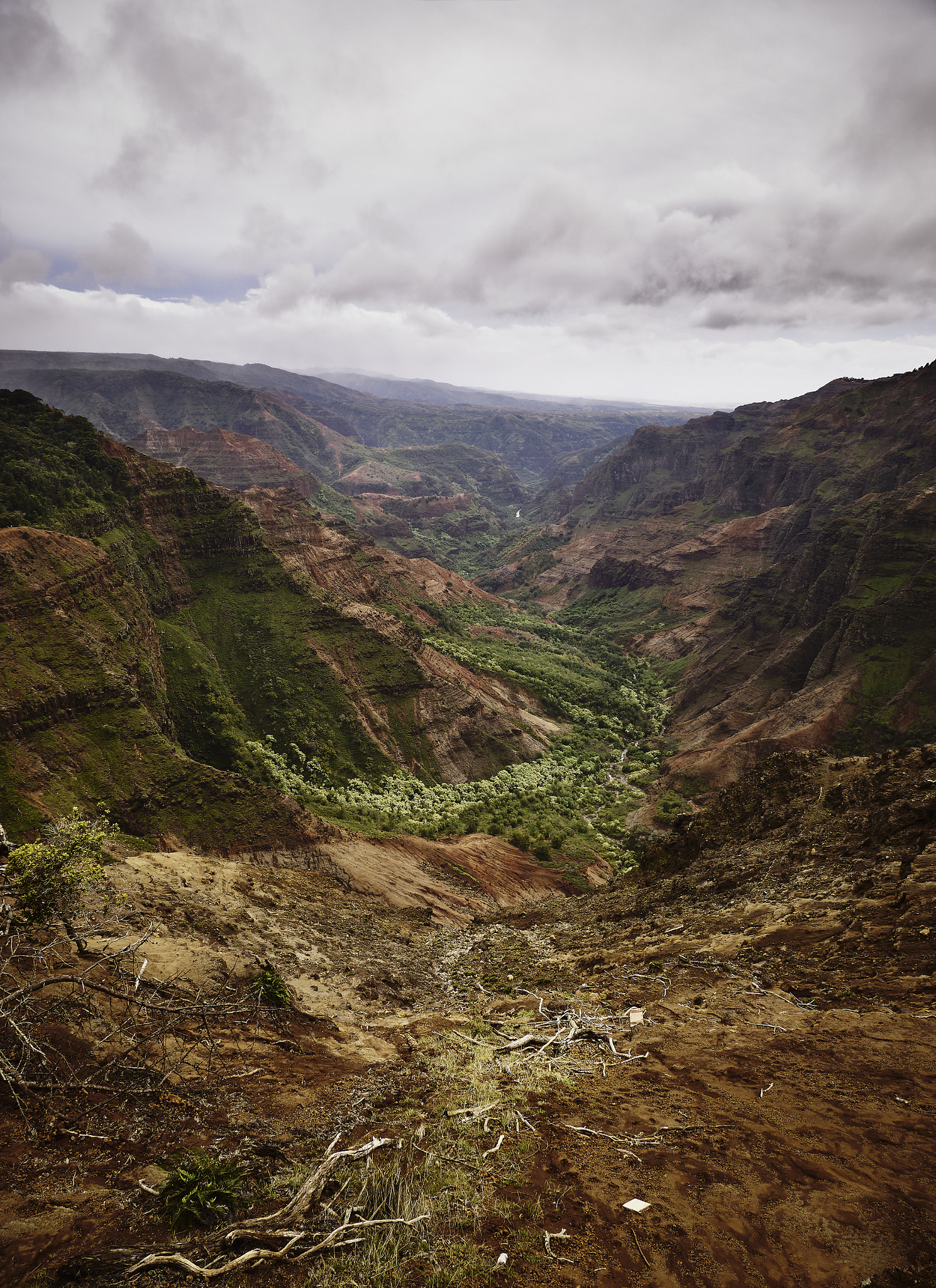 Panasonic Lumix DMC-G85 (Lumix DMC-G80) sample photo. Hawaiian highlands 3 photography