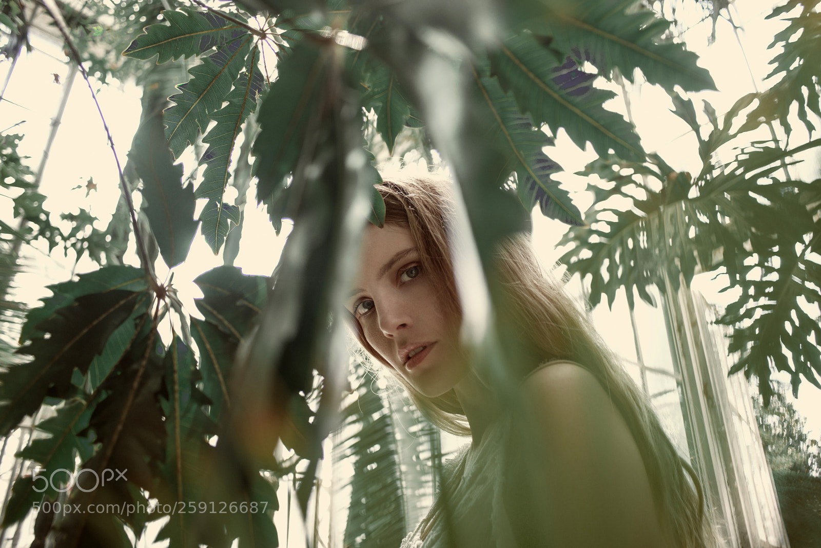 Nikon D800 sample photo. Alessia photography
