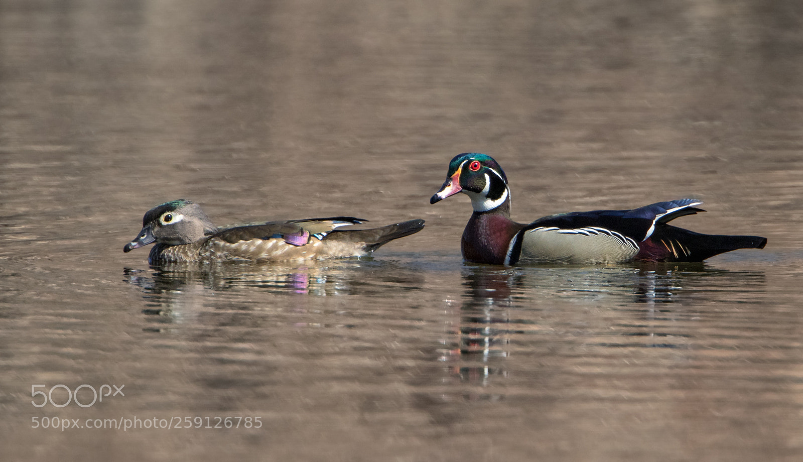 Canon EOS 7D Mark II sample photo. Happy couple photography