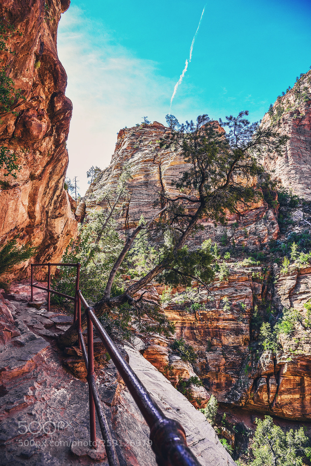 Nikon D750 sample photo. Following the trail photography