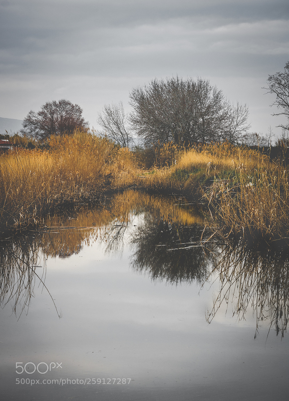 Canon EOS 750D (EOS Rebel T6i / EOS Kiss X8i) sample photo. The pond photography