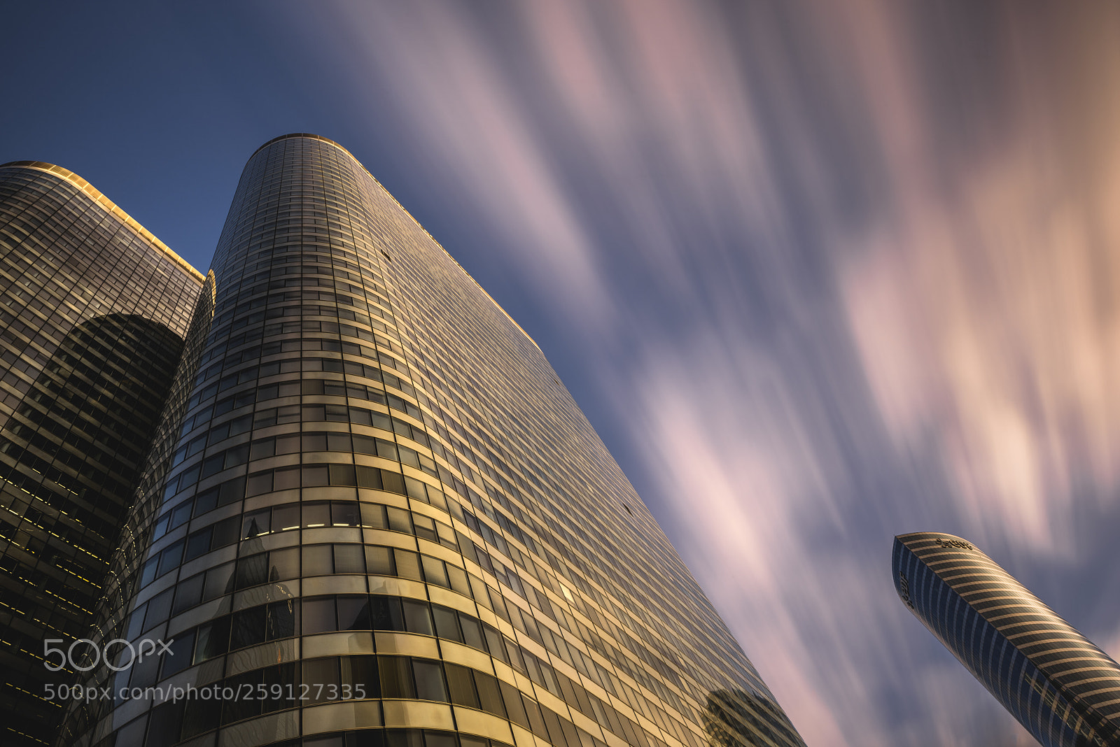 Nikon D810 sample photo. Among giants photography