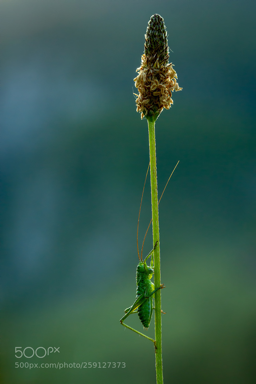 Canon EOS 7D sample photo. Last inch photography